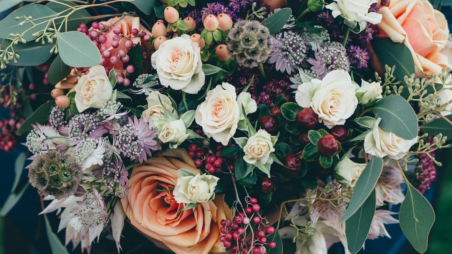 Florists & Pet Shops