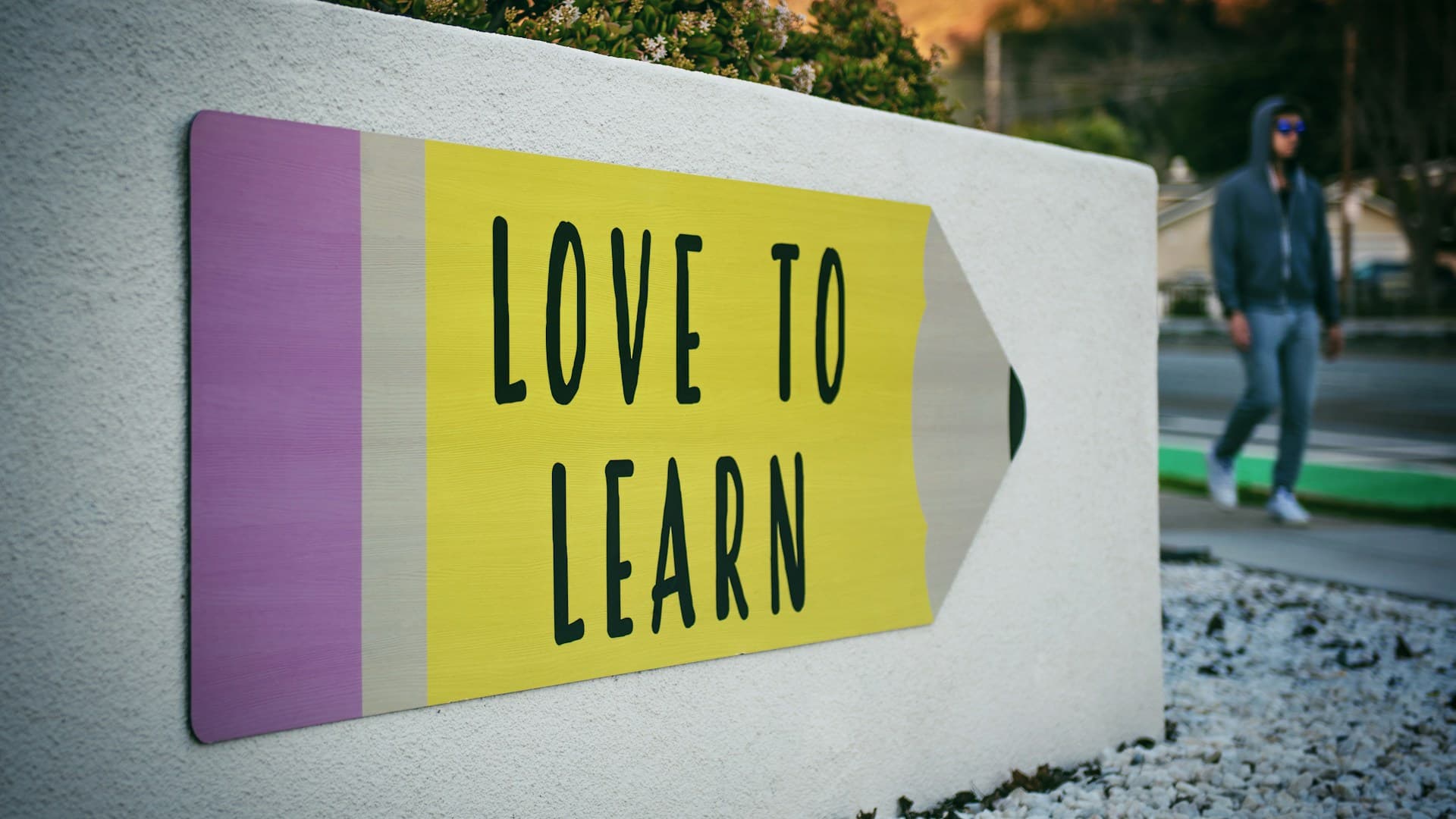 Language Schools