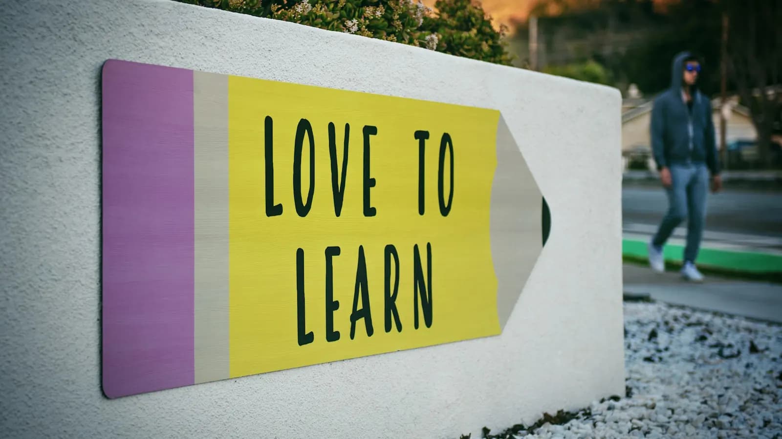 Language Schools